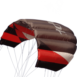 Sting 4 line Power Kite