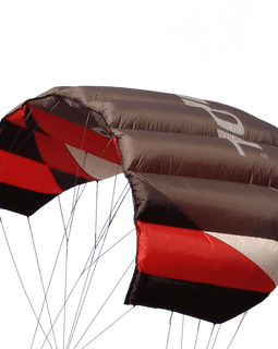Sting 4 line Power Kite