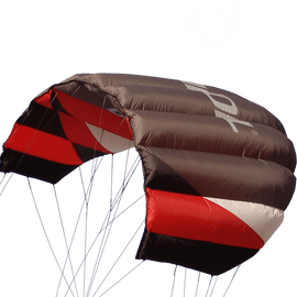 Sting 4 line Power Kite